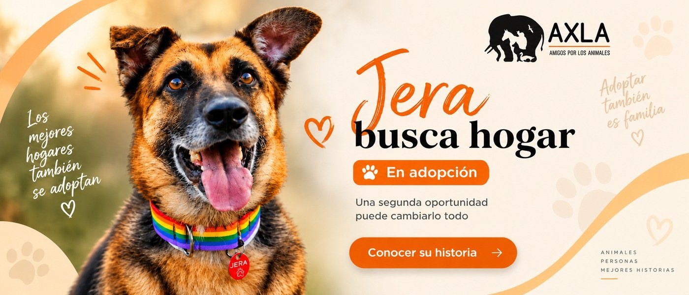 Jera busca hogar