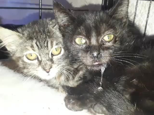 Jopito junto a su hermana